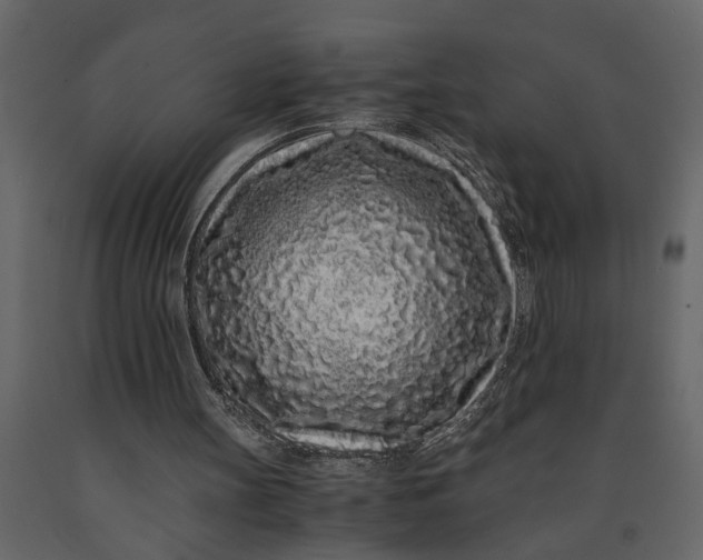 X0000091100147200708271323