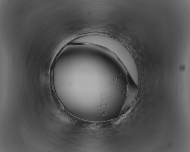 X0000091100148200708271323