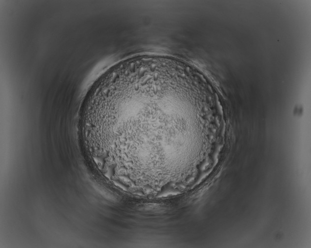 X0000091100151200708271323