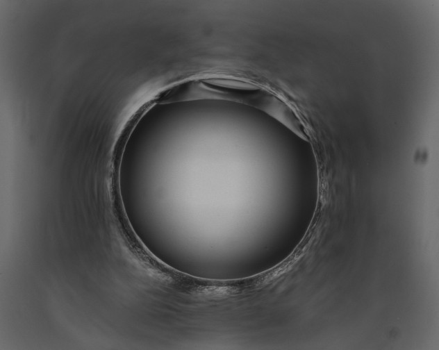 X0000091100152200708271323