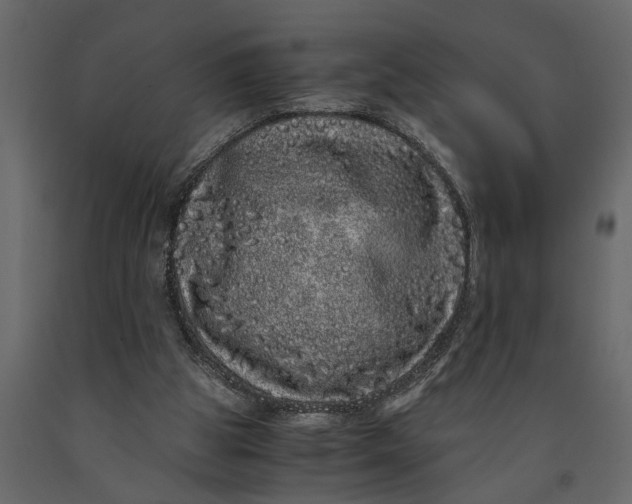 X0000091100153200708271323