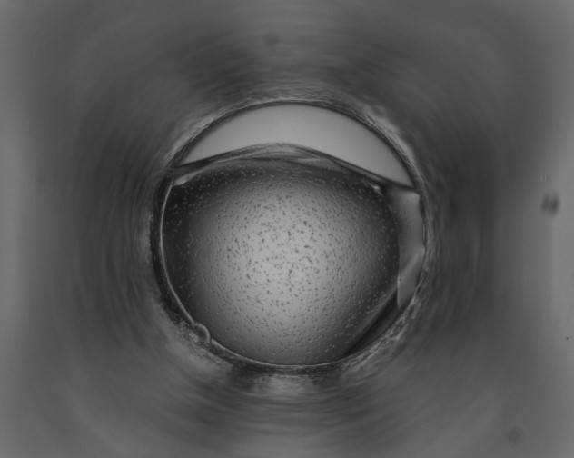 X0000091100154200708271323