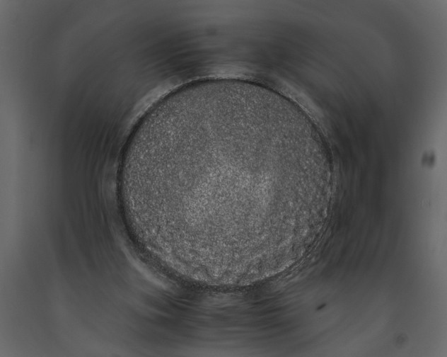 X0000091100155200708271323