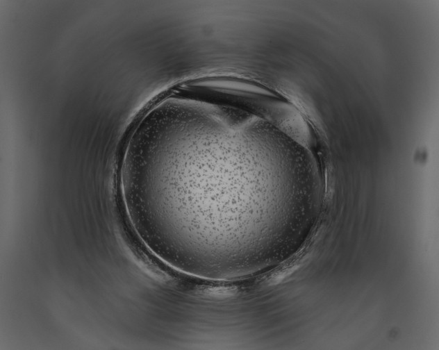 X0000091100156200708271323