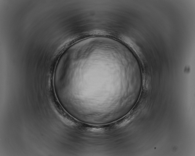 X0000091100157200708271323