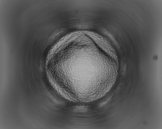 X0000091100161200708271323