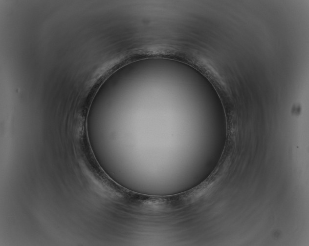 X0000091100164200708271323