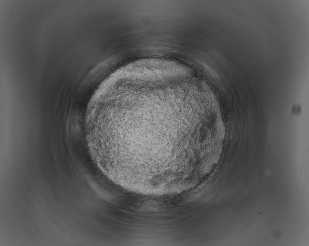 X0000091100166200708271323