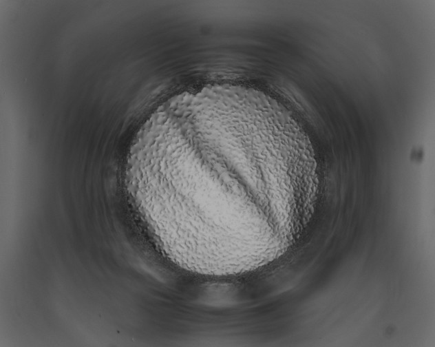 X0000091100169200708271323