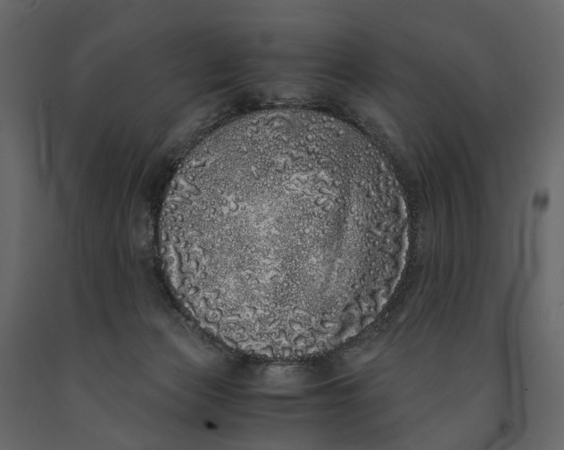 X0000091100173200708271323