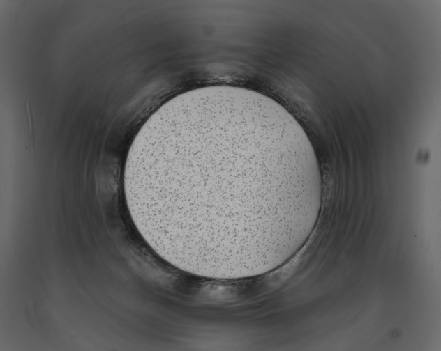 X0000091100174200708271323