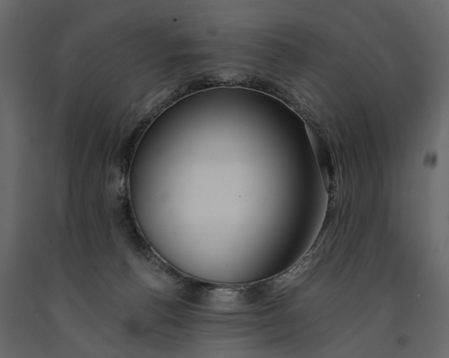 X0000091100176200708271323