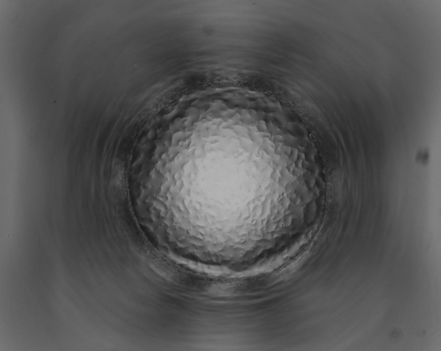 X0000091100178200708271323