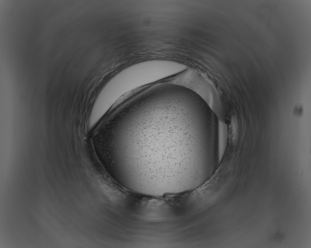 X0000091100180200708271323