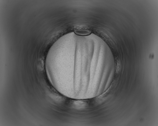 X0000091100183200708271323