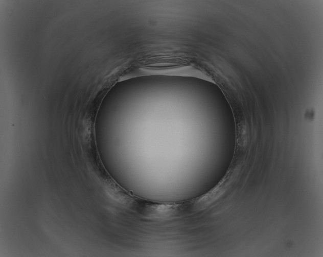 X0000091100184200708271323