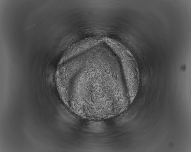 X0000091100185200708271323