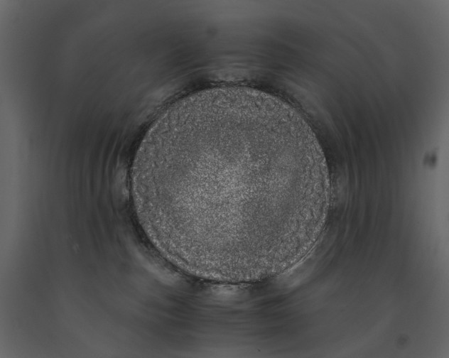 X0000091100187200708271323