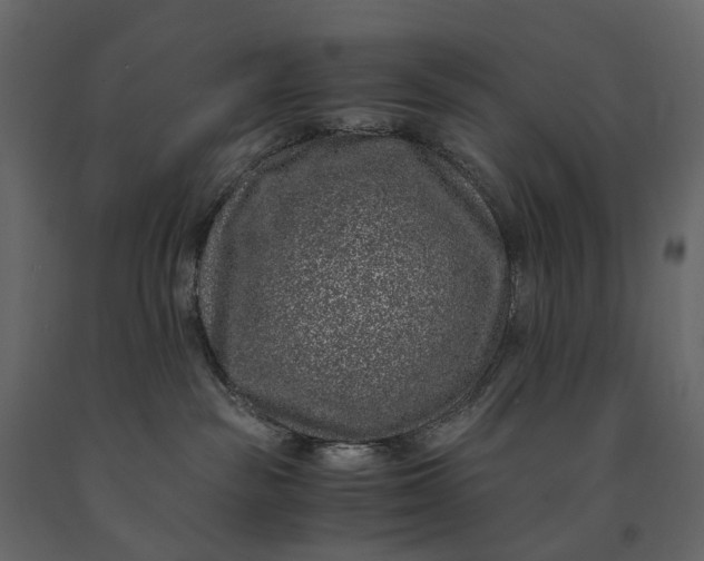 X0000091100189200708271323