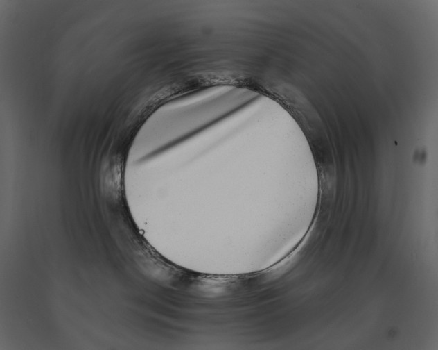 X0000091100190200708271323