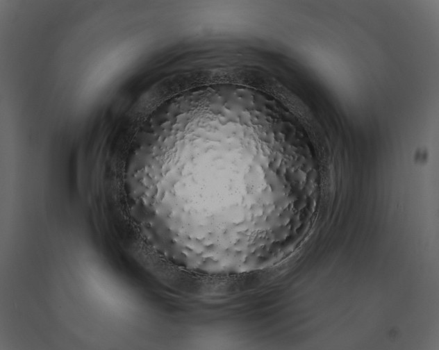 X0000091100191200708271323