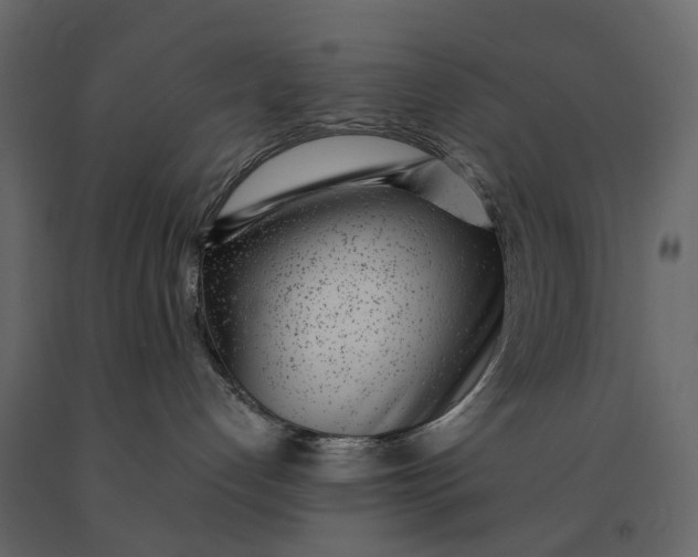 X0000091100192200708271323