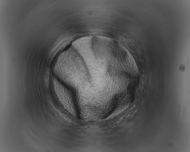 X0000091100194200708271323