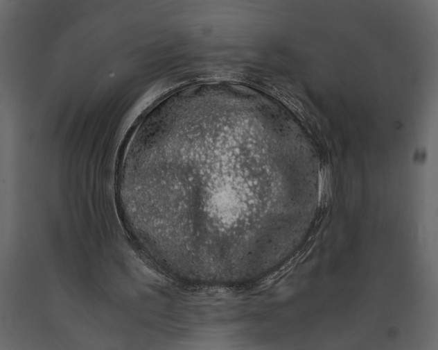 X0000091100195200708271323