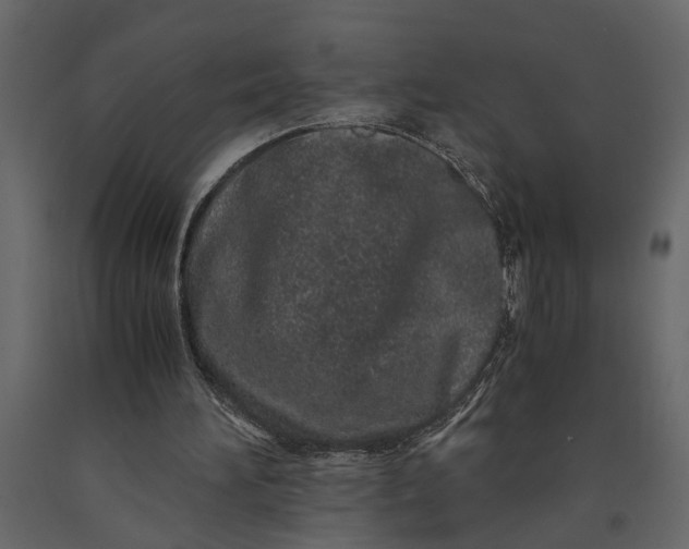 X0000091100196200708271323