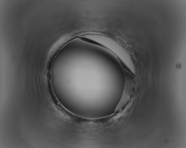 X0000091100197200708271323