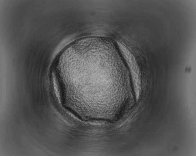 X0000091100198200708271323