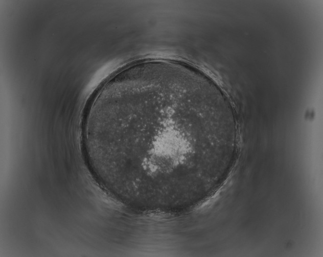 X0000091100199200708271323