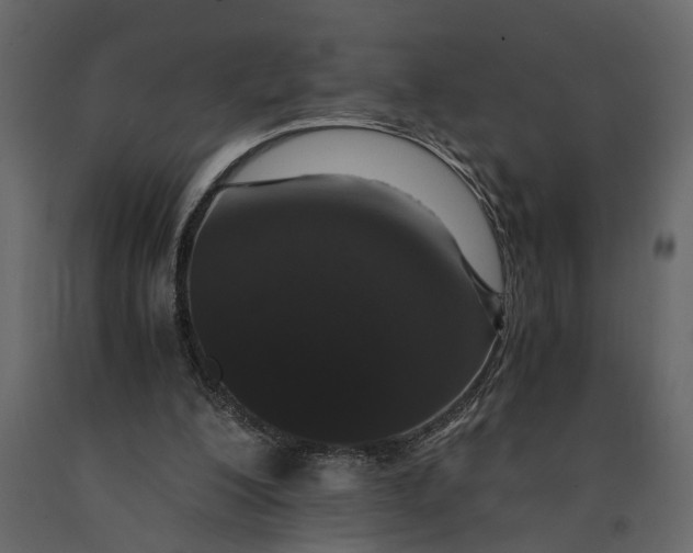 X0000091100200200708271323