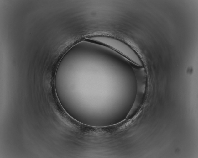 X0000091100201200708271323