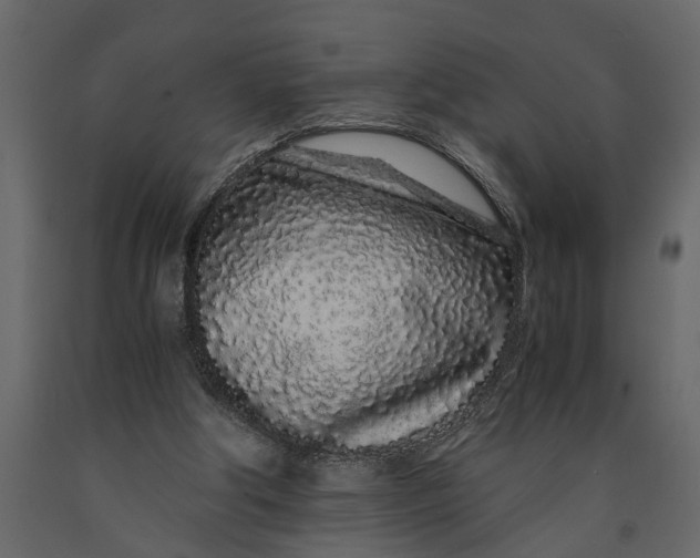 X0000091100202200708271323