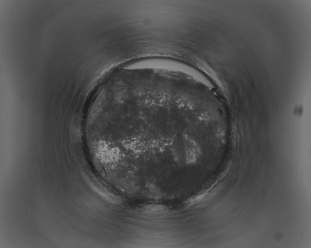 X0000091100203200708271323