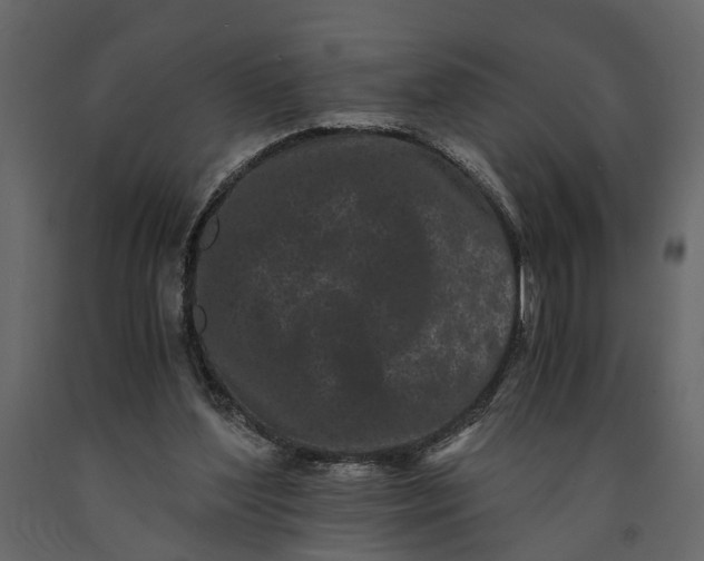 X0000091100204200708271323