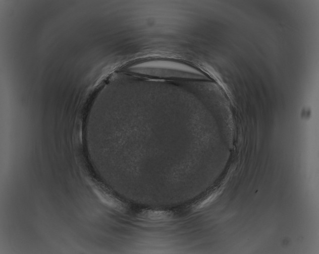 X0000091100205200708271323