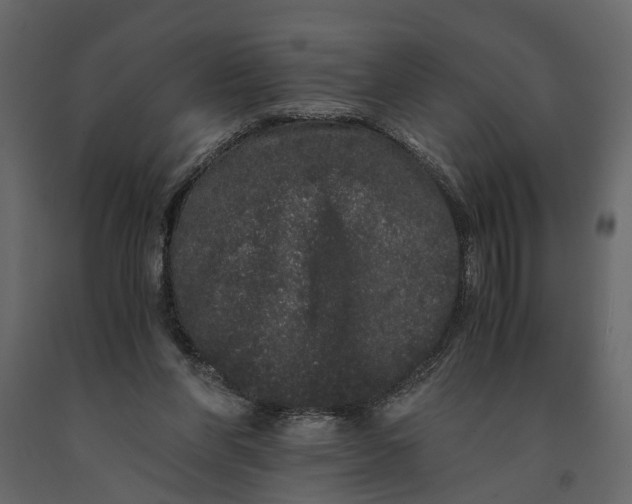 X0000091100206200708271323