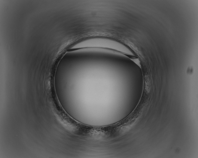 X0000091100207200708271323