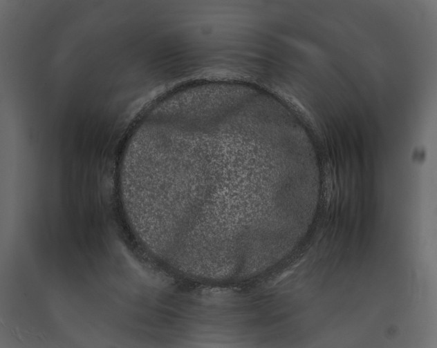 X0000091100208200708271323