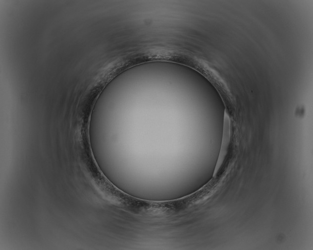 X0000091100209200708271323