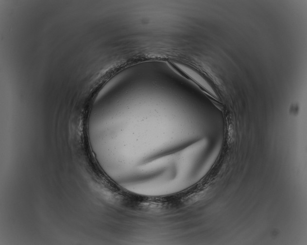 X0000091100211200708271323