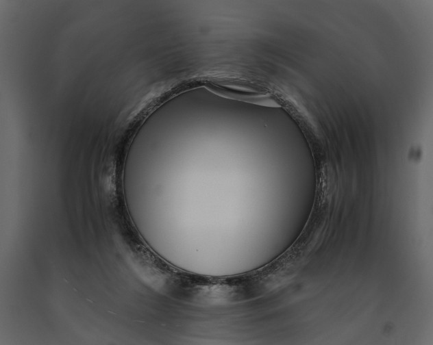 X0000091100212200708271323