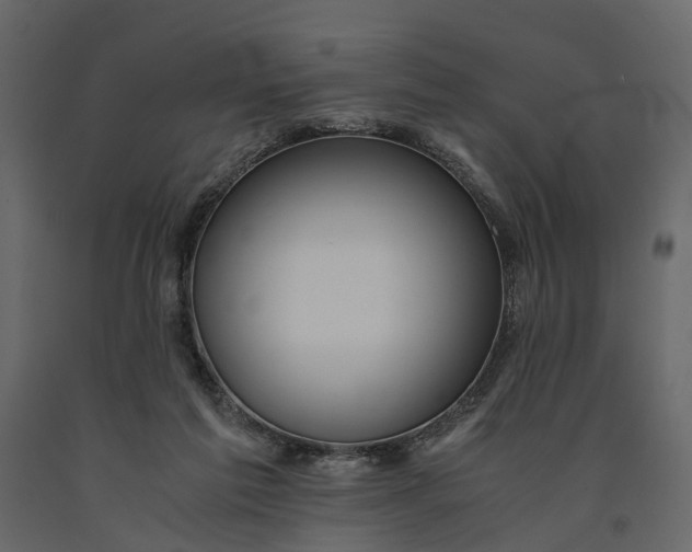 X0000091100213200708271323