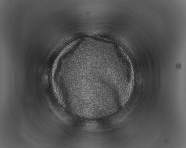 X0000091100214200708271323