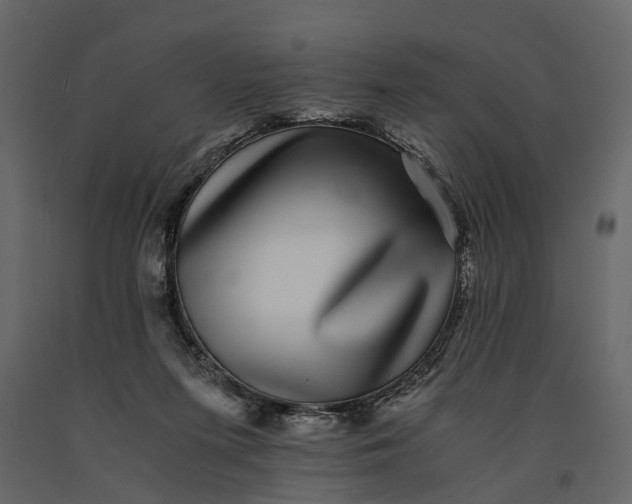 X0000091100215200708271323