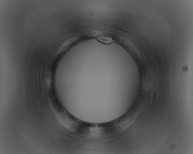 X0000091100216200708271323