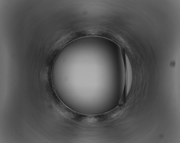 X0000091100217200708271323