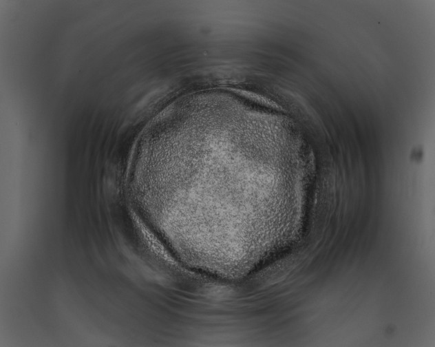 X0000091100218200708271323